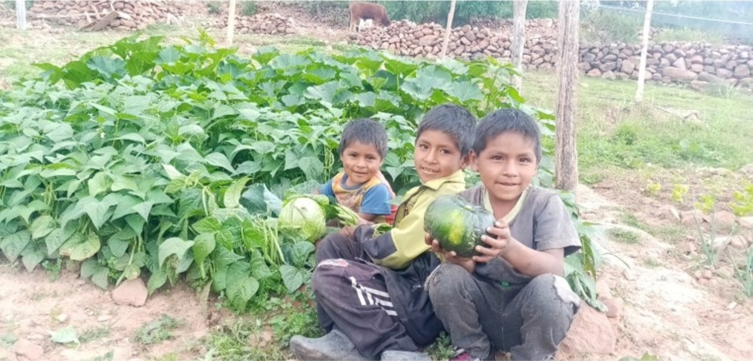 3-Obj 1 -Niños con productos agroecológicos